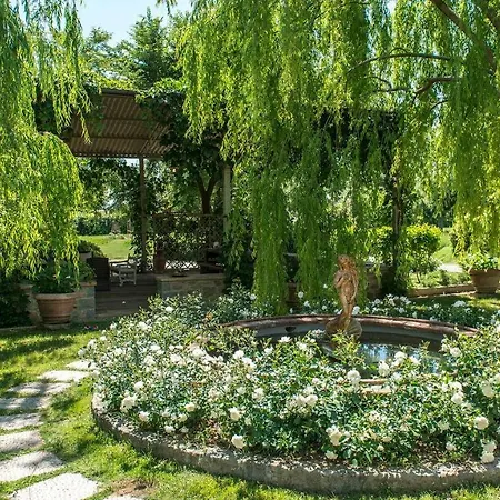 Albachiara 8, Emma * Cortona